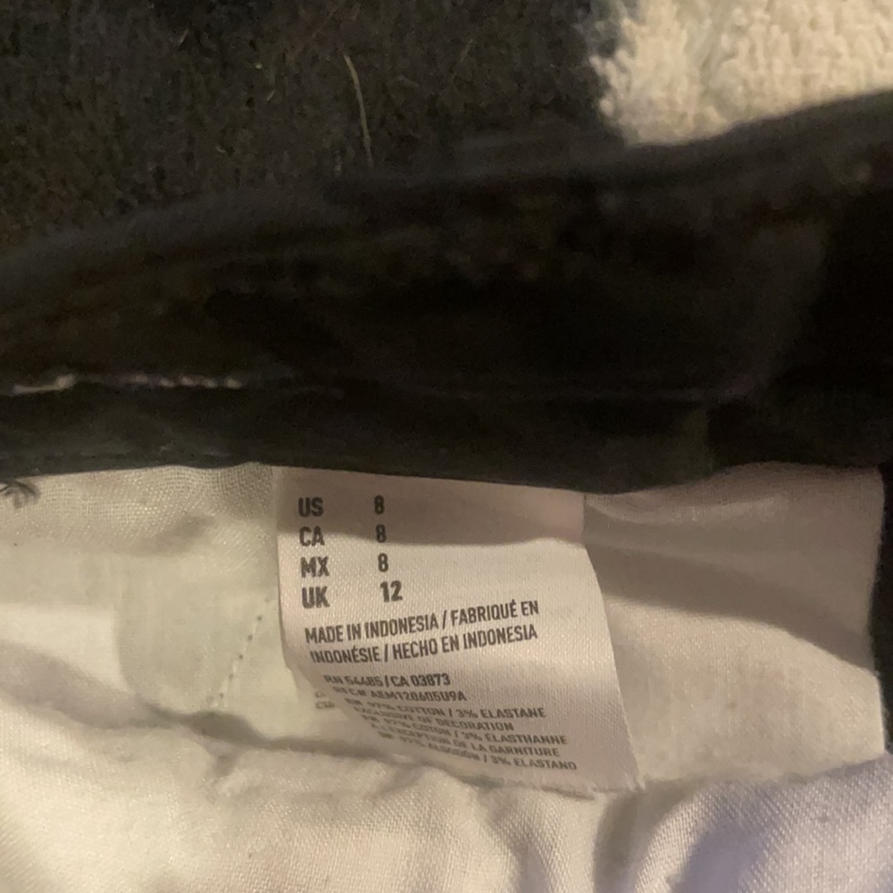 American eagle - Picture 4 of 4